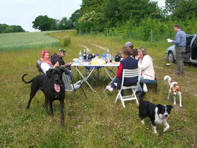 Jede Woche unternehmen wir Spaziergänge im Gelände.<br>Jeder Hund kann mitgehen, sofern er sozialverträglich ist, eine Grundbasis an Erziehung hat und nicht abhaut oder jagt, den der große Spaß soll im Vordergrund stehen, nicht Stress oder Ärger.<br>Hier ein kleiner Auszug unserer Sommerbilder mit Picknick :o)