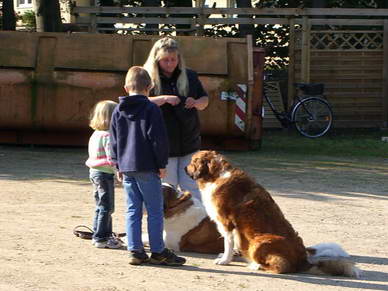 Die Vorsitzende des Tierheims Bad Segeberg fragte bei uns an, ob wir am Kindertag einen kleinen Vortrag über den richigen Umgang mit Hunden für die Kinder halten würden.<br>Kinder und Hunde? Wir sind dabei :o)