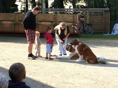 Mit unseren kindererfahrenen Hunden Ylvi & Navy gestalteten wir einen lebendigen Kurzunterricht.